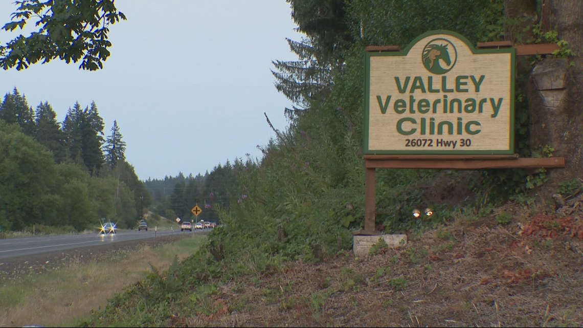 Valley Veterinary Clinic